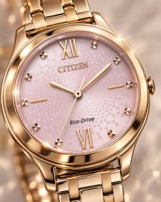 Citizen Platform EM0503-75X - RIP