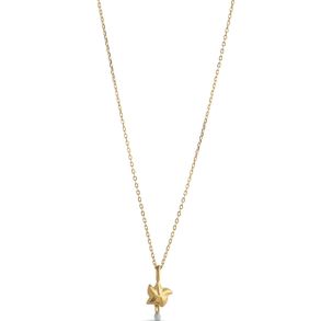Enamel Starfish